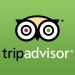 TripAdvisor Company